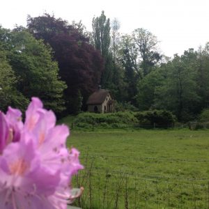 photo of grotto with pink rhododendron in foreground