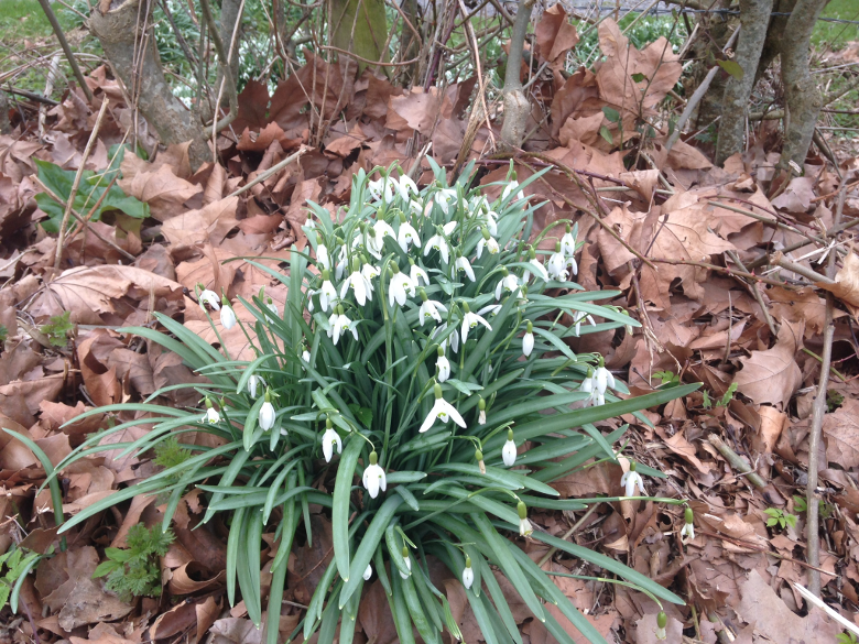 Spring is in the Air at Jordans Glamping