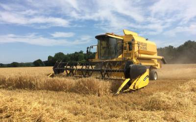 Harvest time on Jordans Estate