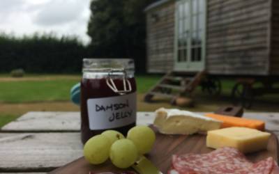 Damson in Distress
