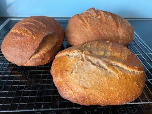 show end product homemade sourdough bread